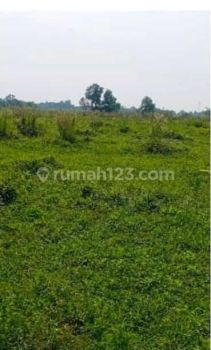 Lahan Cocok Untuk Perumahan Lokasi Di Curug Tangerang