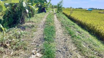 jual tanah itr ping tibubiu pasut kerambitan