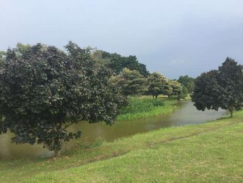 Dijual Kavling View Golf Survana Cempaka Suvarna Sutera Cikupa