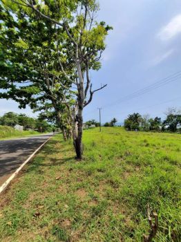 Tanah pinggir pantai cimari pakenjeng kab garut