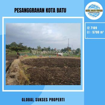 TANAH SAWAH SUBUR HARGA BAGUS DI PESANGGRAHAN KOTA BATU.