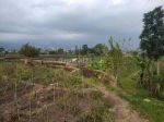 thumbnail-tanah-sawah-subur-harga-bagus-di-pesanggrahan-kota-batu-3