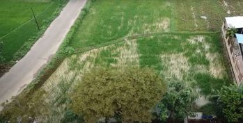 Tanah Di Jalan Dki Ciangir, Legok - Tangerang