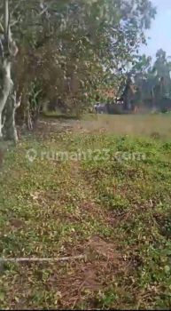 Tanah Babelan Suka Tenang Kab, Bekasi Utara Jawa Barat