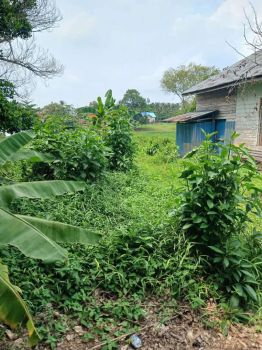 Sell Tanah: Tanah pemukiman