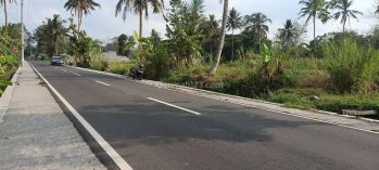 Tanah Sawah di Pinggir Jalan Utama Jl.jangkang Dekat Kampus Uii
