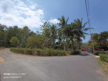 Info Tanah Murah Jogja Kulon Progo