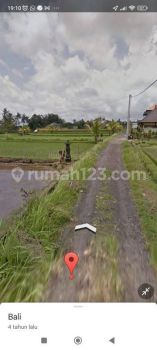 Hot List Termurah Di Kelasnya Di Jual Tanah Lokasi Pejeng Ubud Gianyar