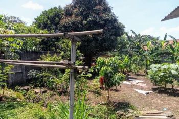 Tanah 260 m2 Murah Akses Motor di Kp. Kencana Tanah Sareal Bogor