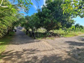 Tanah murah 1000m2 labuan sait Pecatu idr 4,9jt/m2