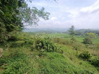 Tanah Di Jual Sukamakmur Bu Shm Best View