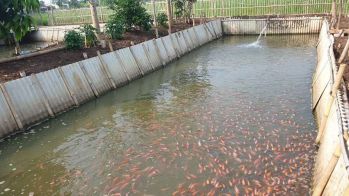 JUAL CEPAT tanah dan bangunan