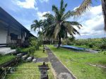 thumbnail-murah-tanah-bonus-villa-di-batuan-ubud-bali-gianyar-8