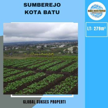 Tanah Luas Harga Borongan Cocok Untuk Investasi Lokasi di Sumberejo