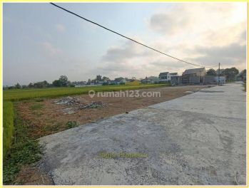 Timur Bandara Adisucipto Jogja, Tanah Murah View Sawah Kalasan