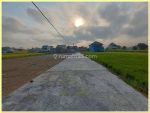 thumbnail-timur-bandara-adisucipto-jogja-tanah-murah-view-sawah-kalasan-1