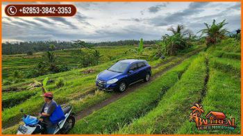 12 Are Ideal untuk Hunian dengan Kebun di Selemadeg Timur