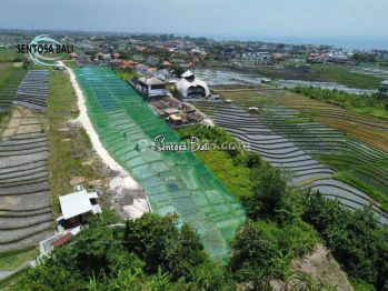 Land For Leased In Cemagi Ricefield View