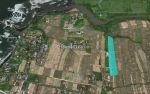 thumbnail-land-for-leased-in-cemagi-ricefield-view-7