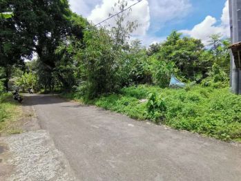 Jual Tanah di Mranggen Dekat JCM