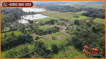 SIAP BANGUN 2,5 Ha area Jembrana Akses Pinggir Jalan