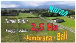 thumbnail-siap-bangun-25-ha-area-jembrana-akses-pinggir-jalan-8