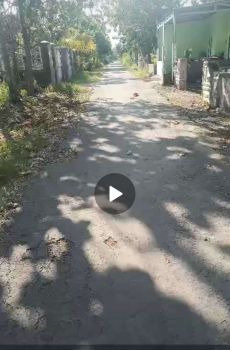 Dijual tanah untuk rumah kebun Ngoro, Jombang