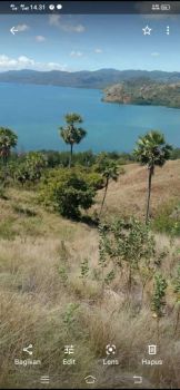 Dijual cepat tanah 5 ha di labuan bajo
