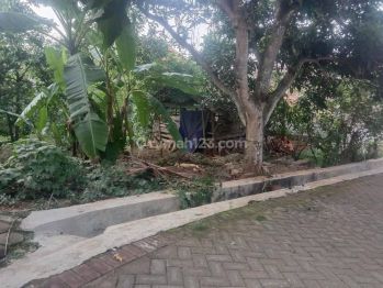 Tanah Murah di Sekargading Gunung Pati Dekat Gerbang Utama Unnes