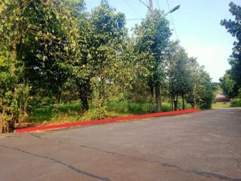 Dijual tanah darat lt 1100mt surat SHM jln bisa masuk dua mobil perwis