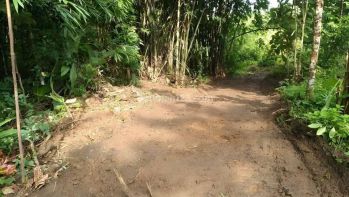 100 Jt an di Moyudan Sleman, Spot Terbaik Investasi