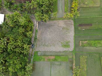 Timur Bandara YIA Dijual Tanah Jogja; SHM