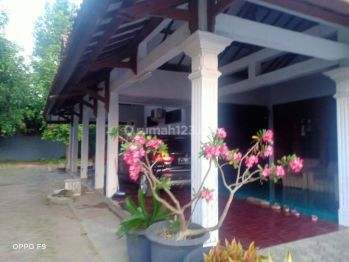 Rumah Sangat Luas Halamannya, Bisa Acara Keluarga Besar