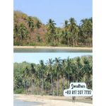 thumbnail-for-sale-land-in-labuan-bajo-ntt-bari-2