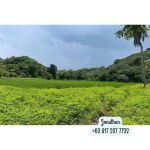 thumbnail-for-sale-land-in-labuan-bajo-ntt-bari-7