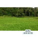 thumbnail-for-sale-land-in-labuan-bajo-ntt-bari-5