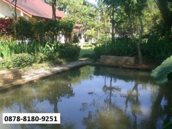 DISEWA Villa Asri + KOLAM RENANG PRIBADI dkt Kopi Daong (TIDAK MACET)