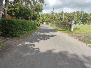 Siap Akad Notaris, Spot Investasi Terbaik di Sentolo Kulon Progo