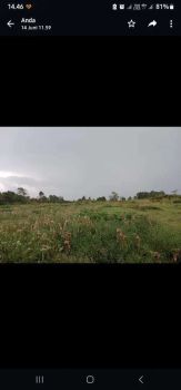 Tanah subur bekas Ditanam Kopi dan Jagung dijual