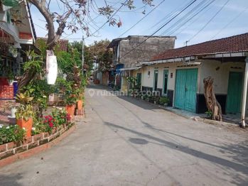 Dalam Ringroad, Tanah Murah Maguwoharjo, Layak Kost