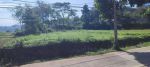 thumbnail-jual-tanah-properti-lahan-sawah-kebun-rumah-ruko-apartemen-shm-4000m2-2