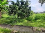 thumbnail-tanah-murahdekat-jalan-nasional-wates-purworejo-2