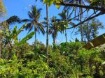 thumbnail-tanah-murah-view-jugle-dan-panorama-dekat-talasi-di-tabanan-bali-5