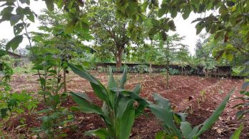 Tanah Siap Bangun Dekat South City Bebas Banjir