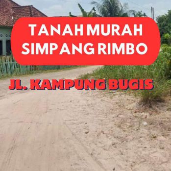 Jual Cepat Tanah Simpang Rimbo