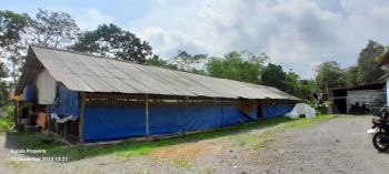 dijual kandang ayam & rumah