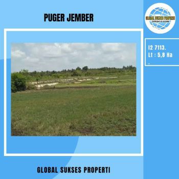 TANAH TAMBAK PRODUKTIF HARGA BAGUS DI PUGER JEMBER.