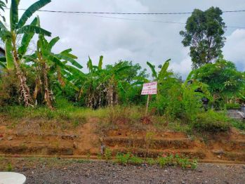 ORBAL MURAH Tanah di Buleleng