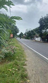 Tanah SHM Tanpa Perantara 2179 m2 pinggir jalan raya provinsi.