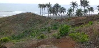 Dijual lahan murah 3500 HA SHM Agrabinta Cianjur Jawa barat